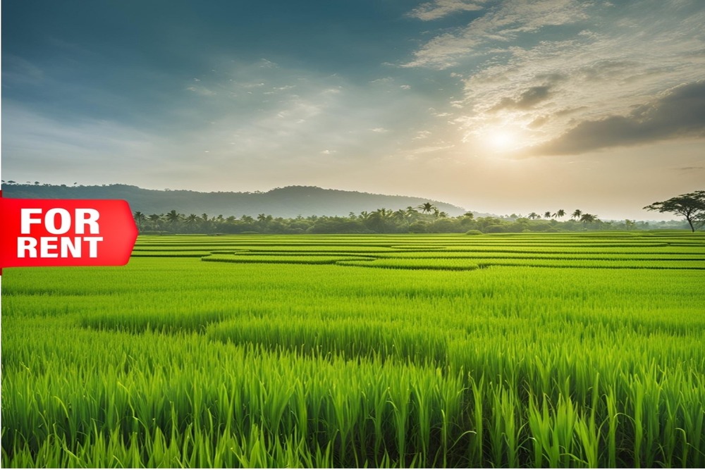 Land Utilization