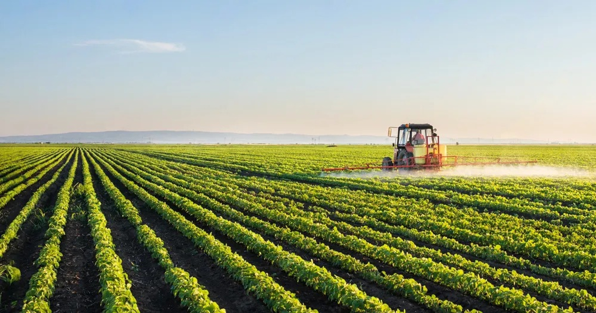 farming illustration