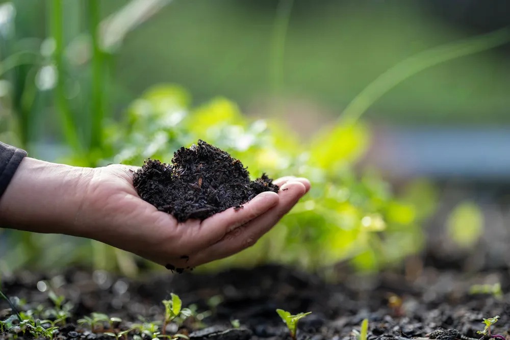Soil Health